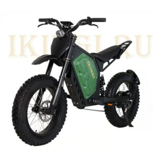 Электровелосипед Ikingi EVA 219