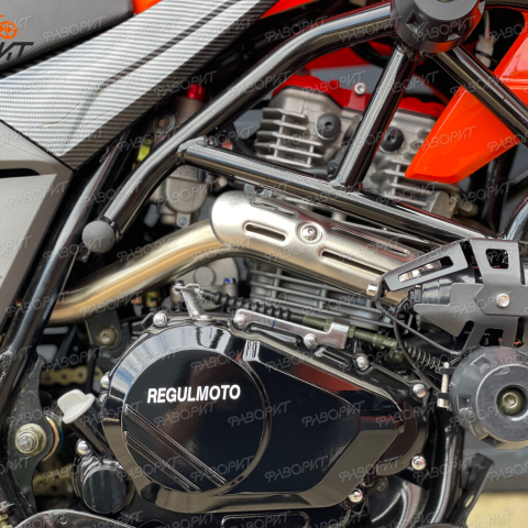 Regulmoto Duke PRО — изображение 8
