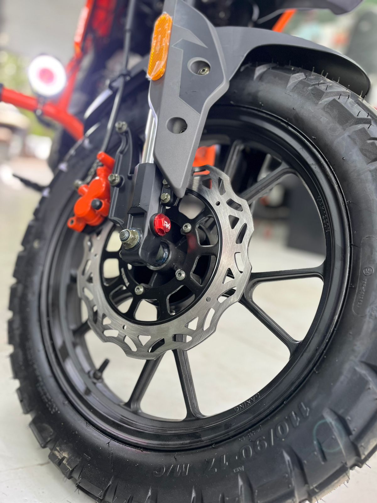 Regulmoto Duke PR 300 — изображение 7