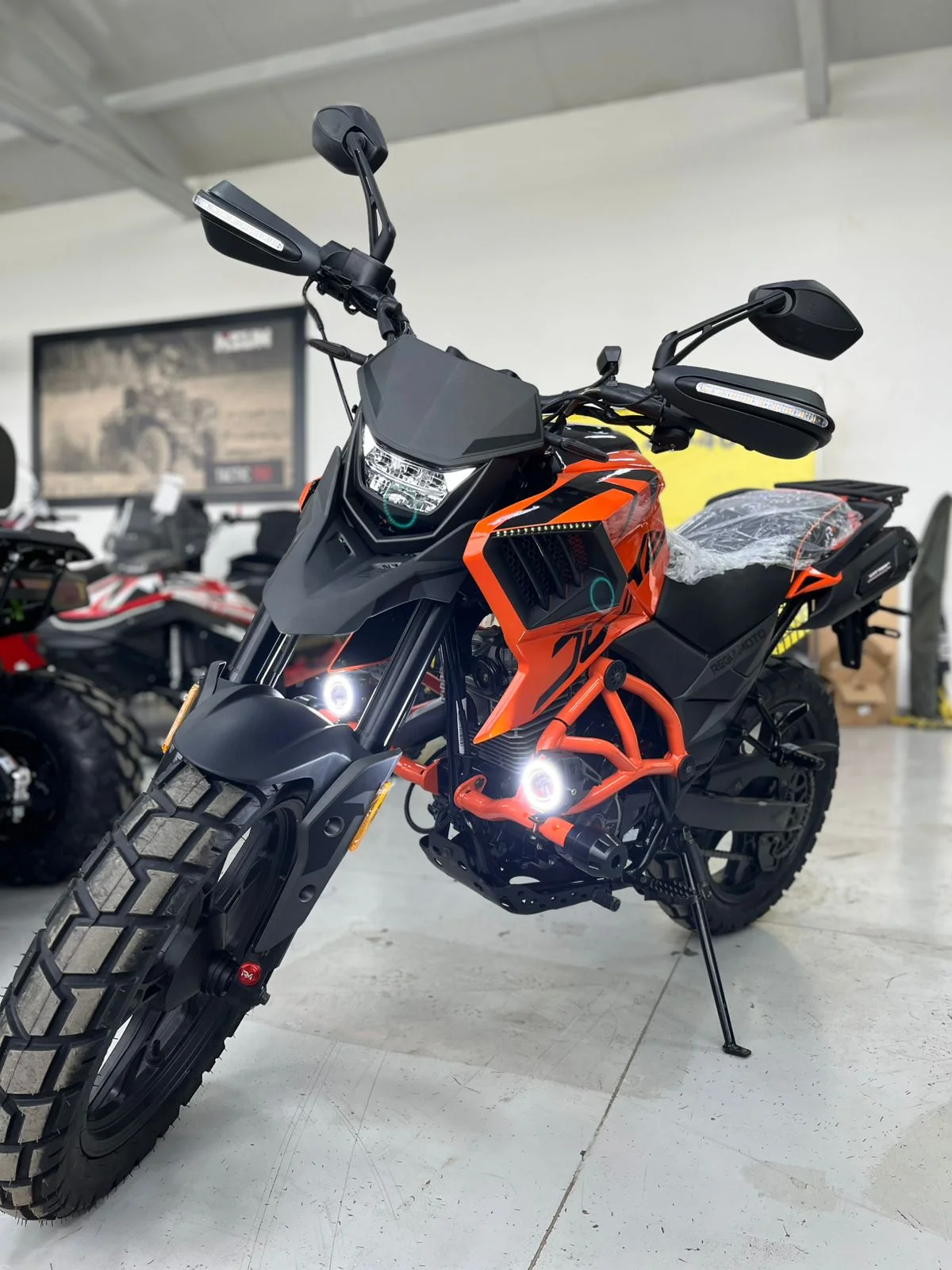 Regulmoto Duke PR 300