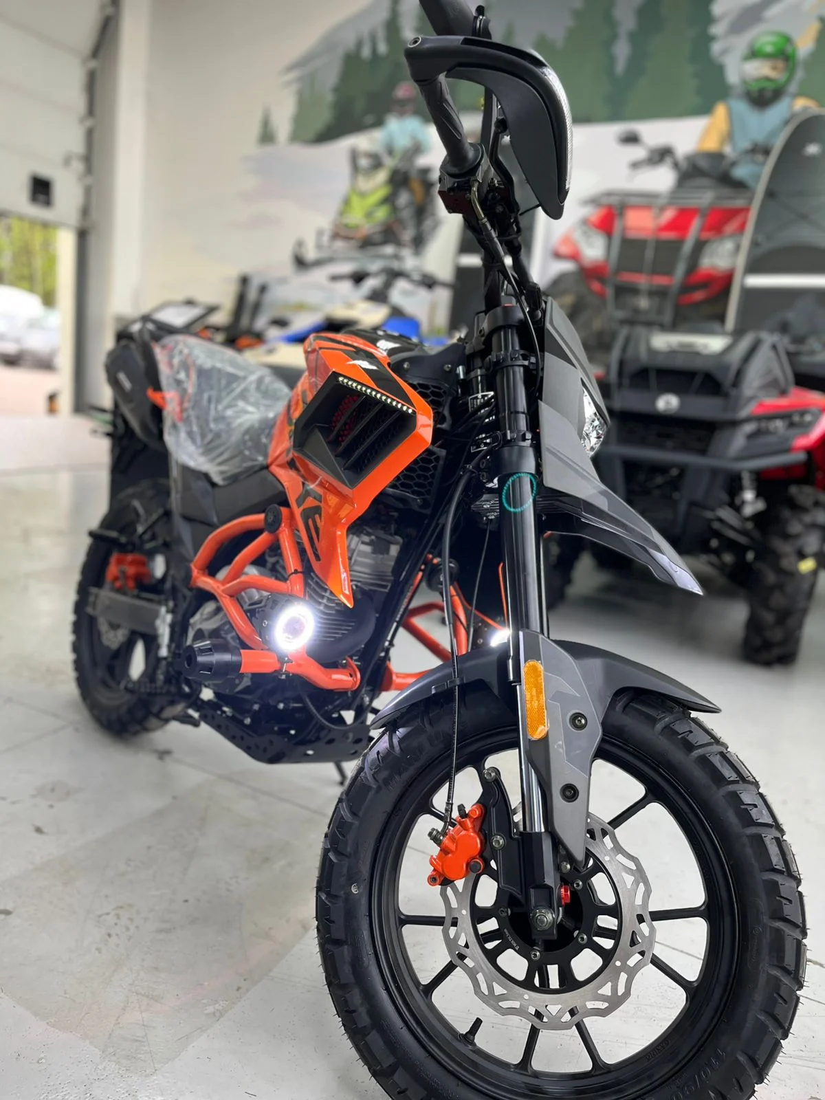 Regulmoto Duke PR 300 — изображение 2