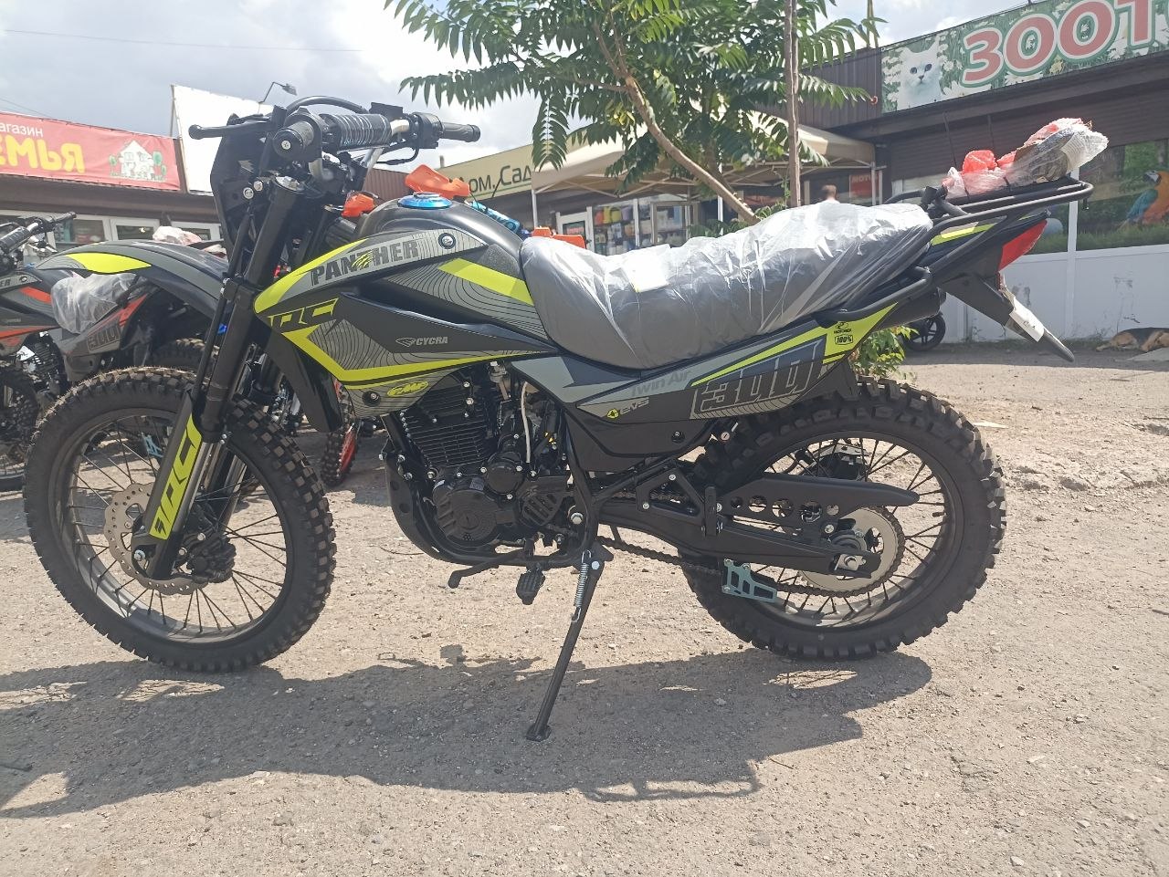 Мотоцикл Panther 300RC — изображение 8