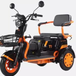 KUGOO T1