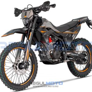 Regulmoto CR-X 300 PRO