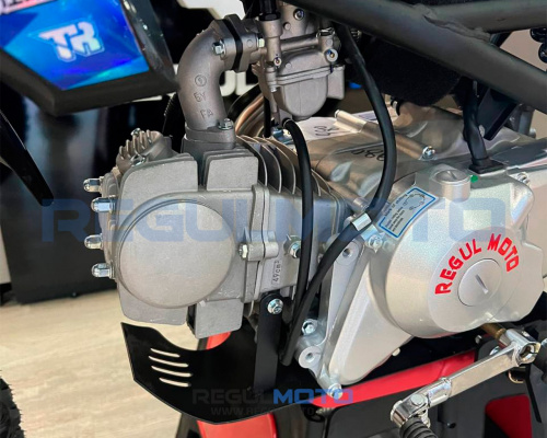 Regulmoto PILOT EM 17/14 — изображение 5